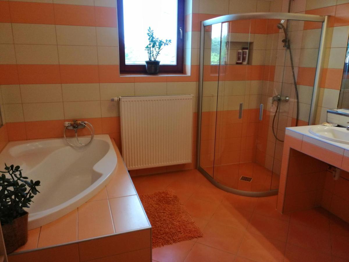 Vizaknai Apartmanhaz Székesfehérvár Εξωτερικό φωτογραφία