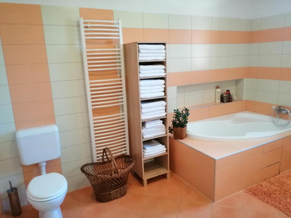 Vizaknai Apartmanhaz Székesfehérvár Εξωτερικό φωτογραφία