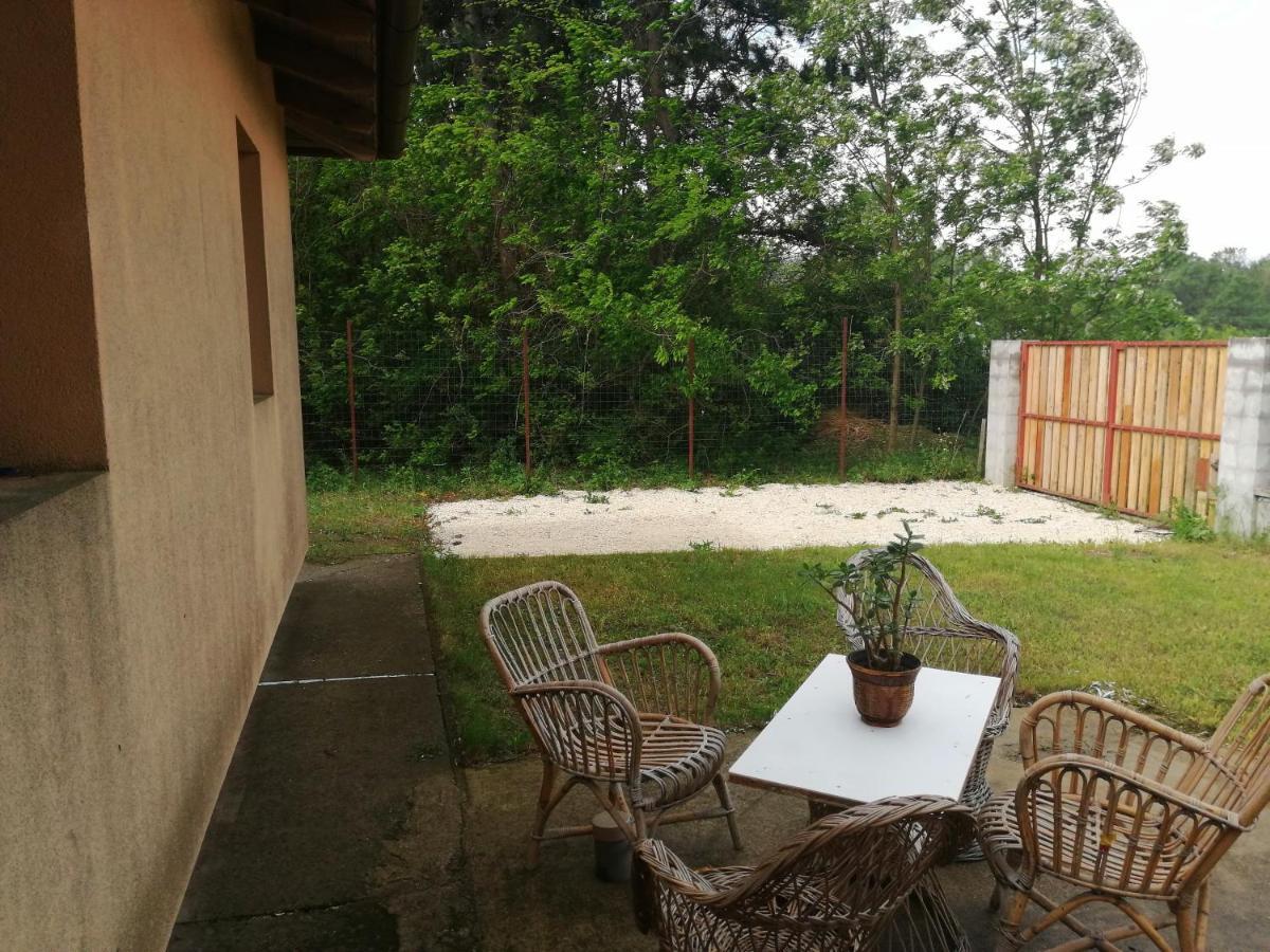 Vizaknai Apartmanhaz Székesfehérvár Εξωτερικό φωτογραφία