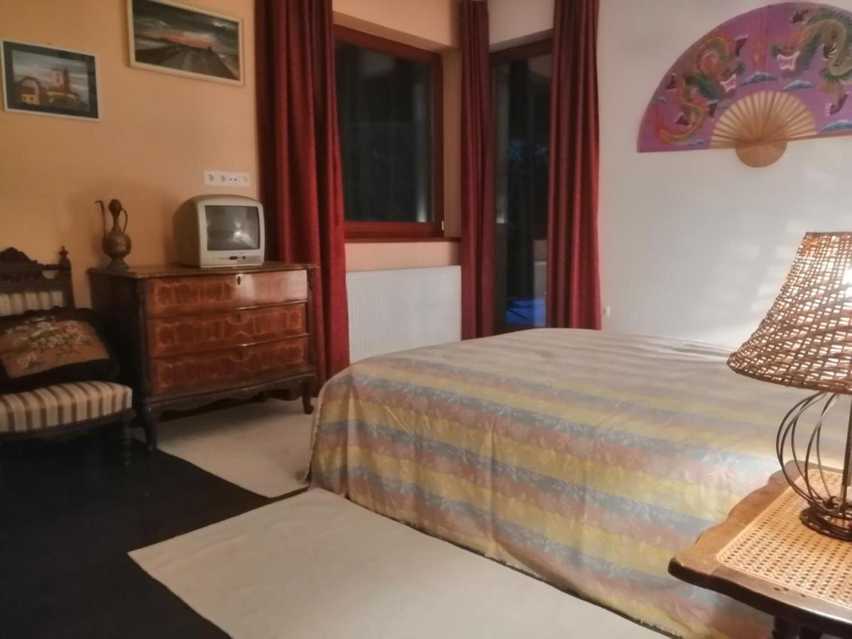 Vizaknai Apartmanhaz Székesfehérvár Εξωτερικό φωτογραφία